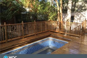 backyard & swimming pool